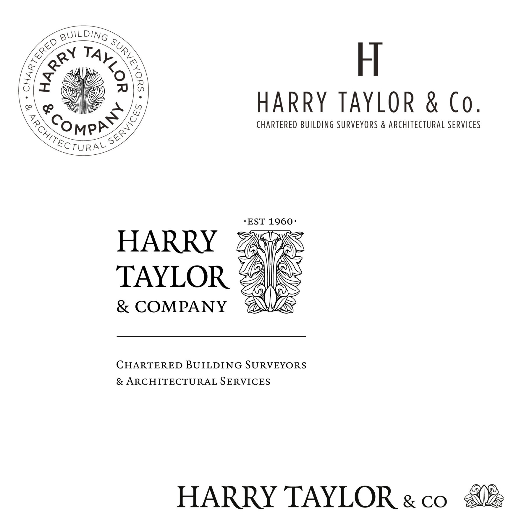 Black and white logo sketches for Harry Taylor & Co.